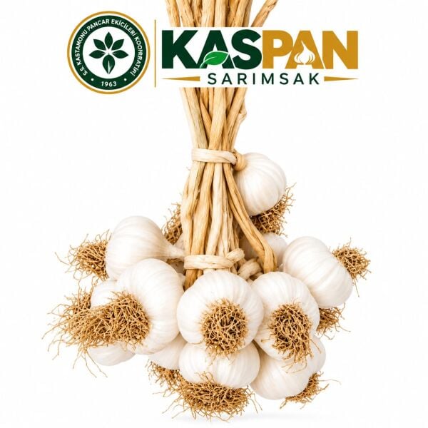 Taşköprü Sarımsağı (Orta Boy 3Kg)