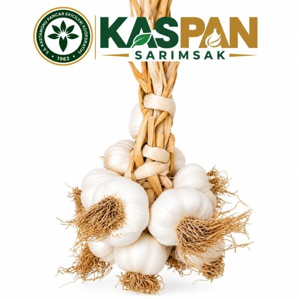 Taşköprü Sarımsağı (Büyük Boy 3Kg)