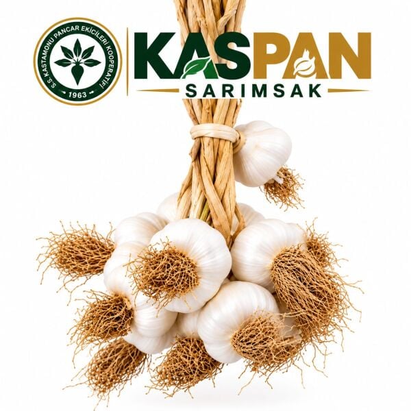 Taşköprü Sarımsağı (Duble Boy 3Kg)